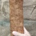 广西防城刮皮通桂皮超厚大通中通油桂