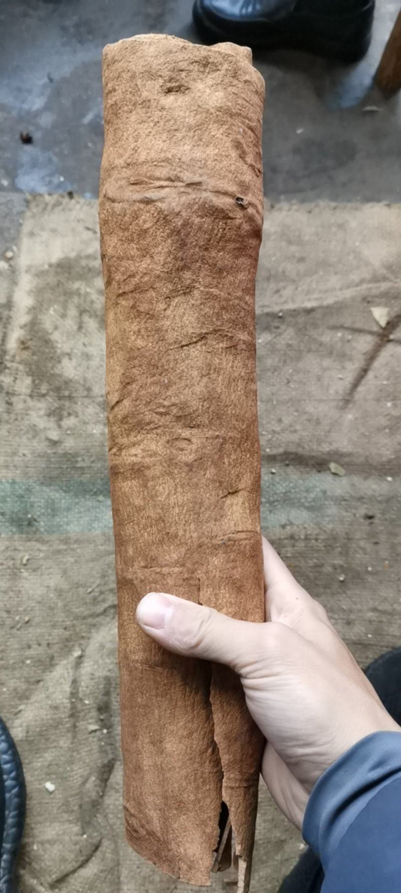 广西防城刮皮通桂皮超厚大通中通油桂