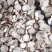 【白芍】10一14号本店专业白芍加工规格齐全白芍量大优惠