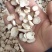 【白芍】10一14号本店专业白芍加工规格齐全白芍量大优惠