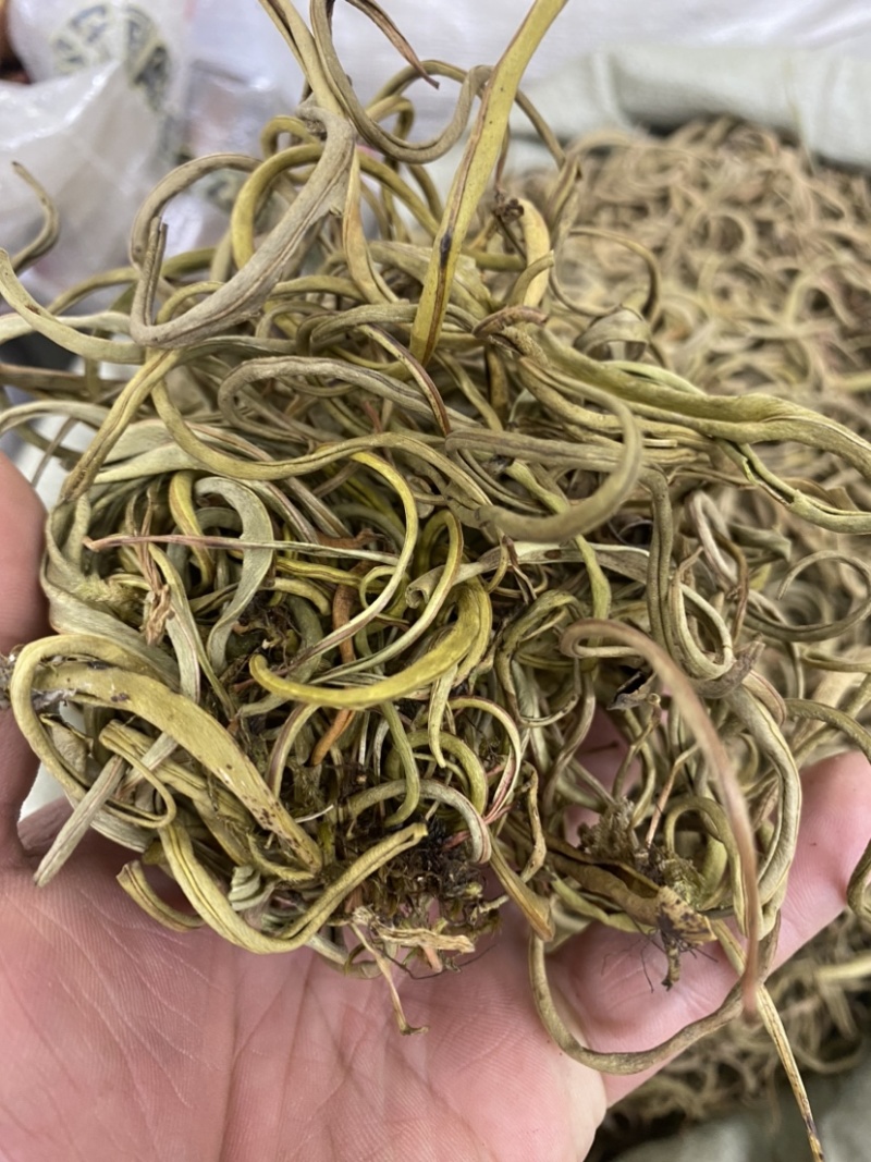 化石草正宗小叶化石草肾精草新货批发肾阳草猫须草滋补养生