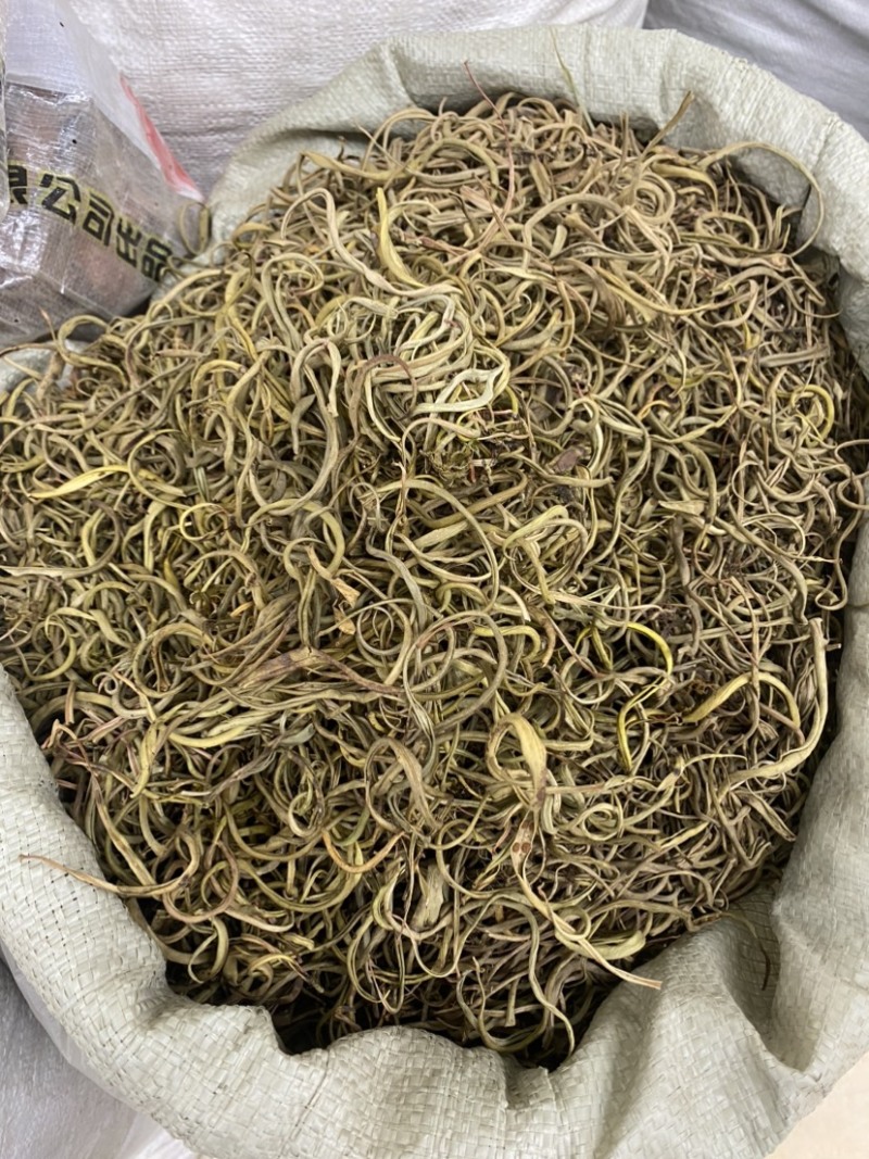 化石草正宗小叶化石草肾精草新货批发肾阳草猫须草滋补养生
