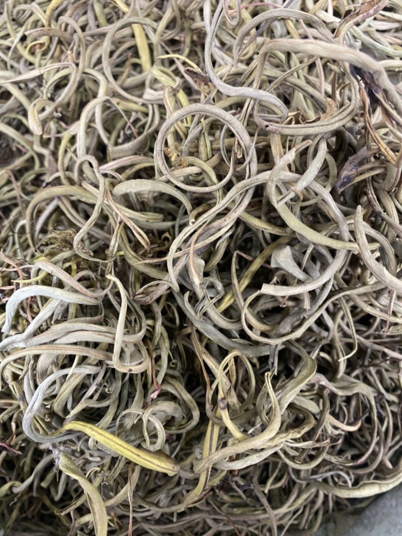 化石草正宗小叶化石草肾精草新货批发肾阳草猫须草滋补养生