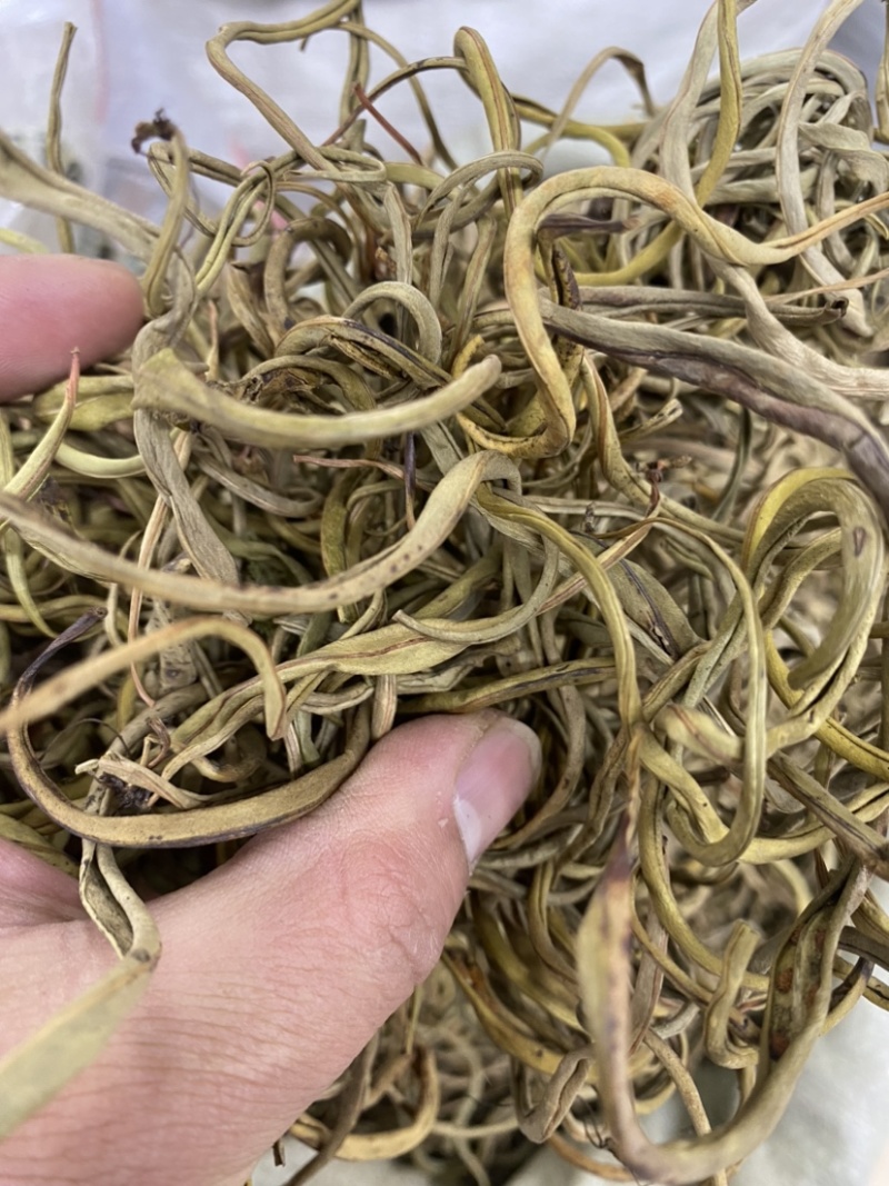 化石草正宗小叶化石草肾精草新货批发肾阳草猫须草滋补养生