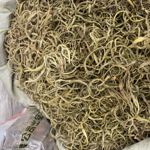 化石草正宗小叶化石草肾精草新货批发肾阳草猫须草滋补养生