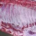 鲜肉前槽后丘精肉五花里脊梅肉排骨骨棒肘子