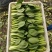 精品上海青，油菜，品质保证，诚信经营，服务周到，产地直发