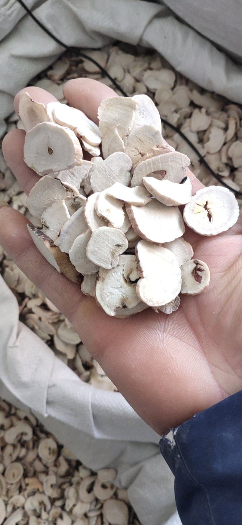 【白芍】次片下料颗粒本店专业白芍加工规格齐全量大优惠