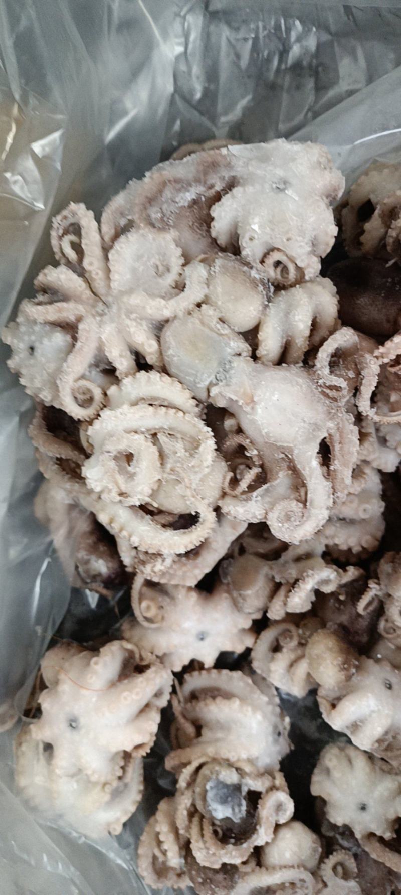 迷你八爪