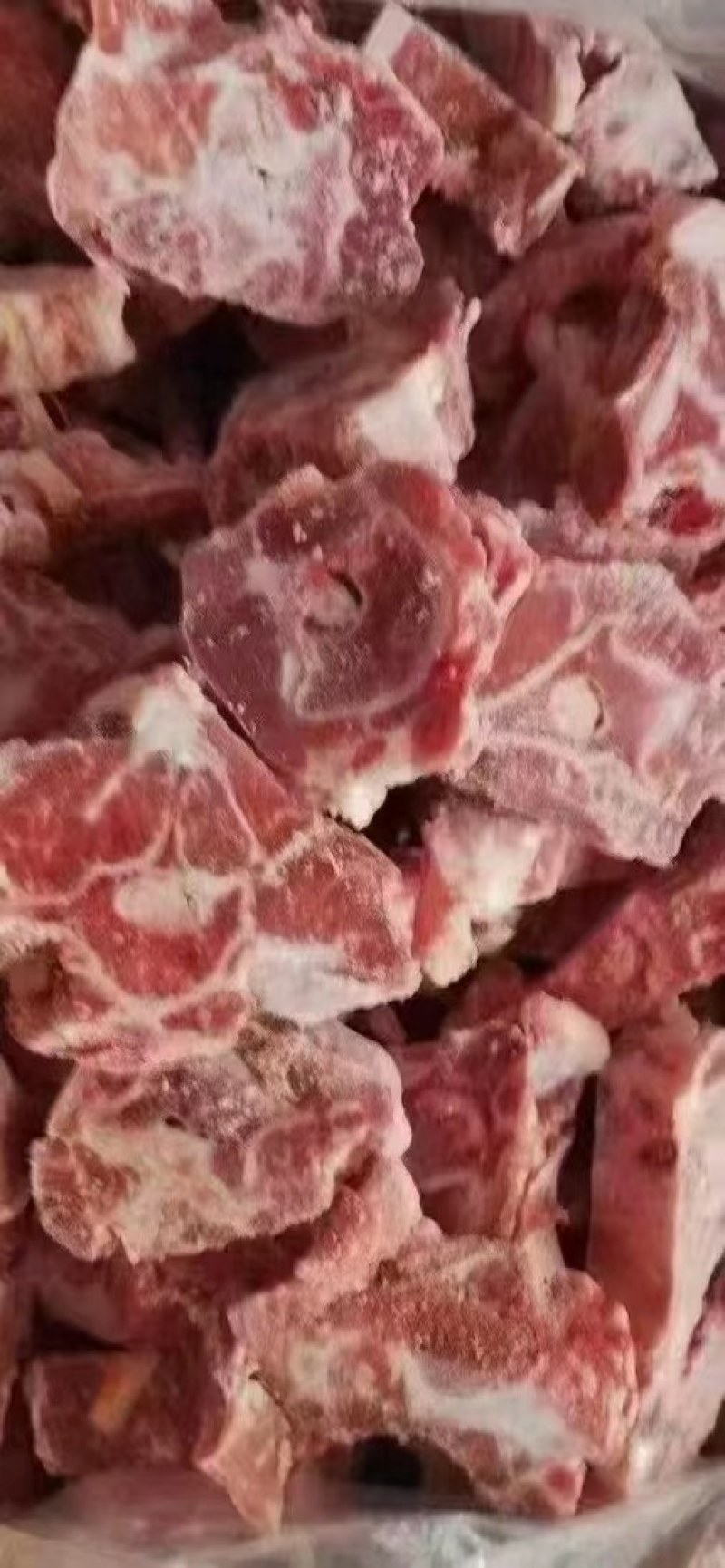 多肉羊蝎子