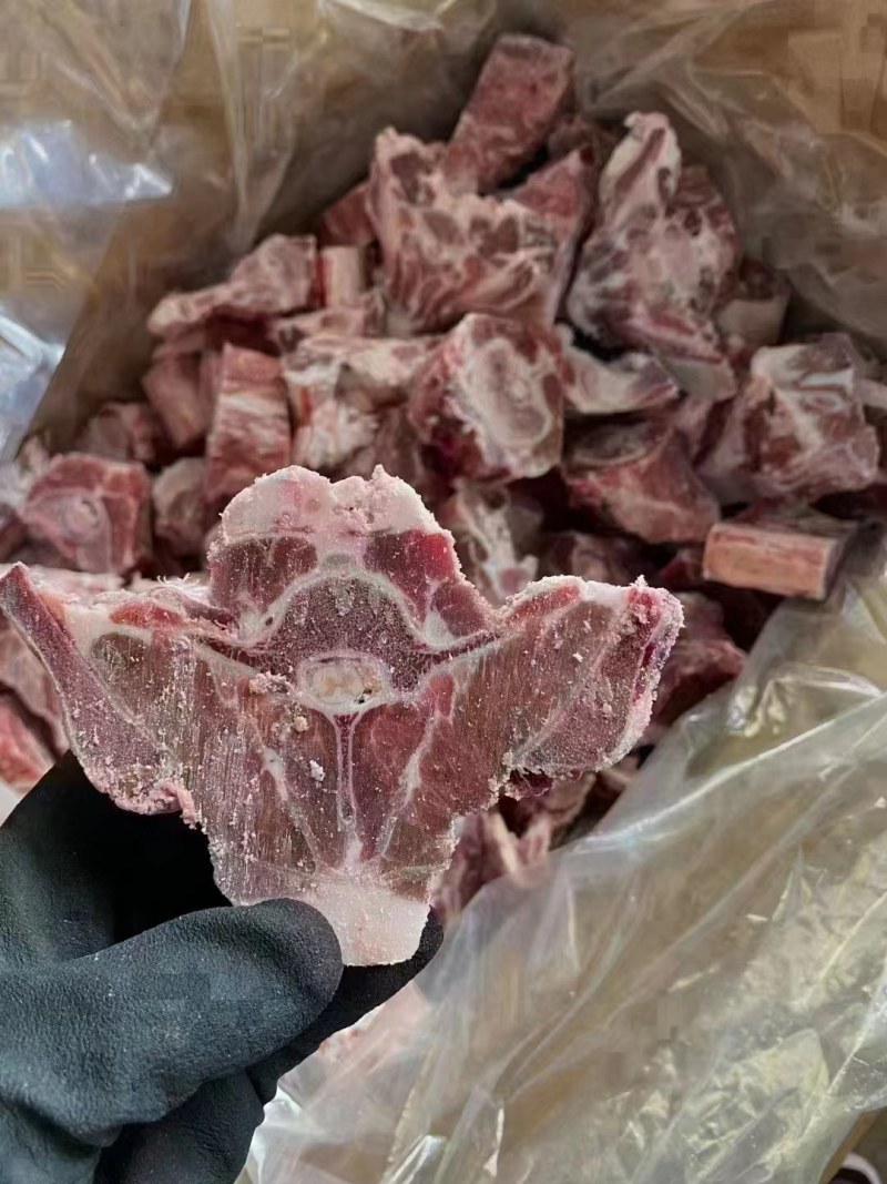 多肉羊蝎子