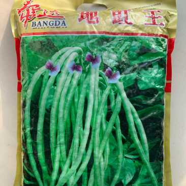 帮达地豇王无架豇豆种子肉厚质嫩不易老耐贮运