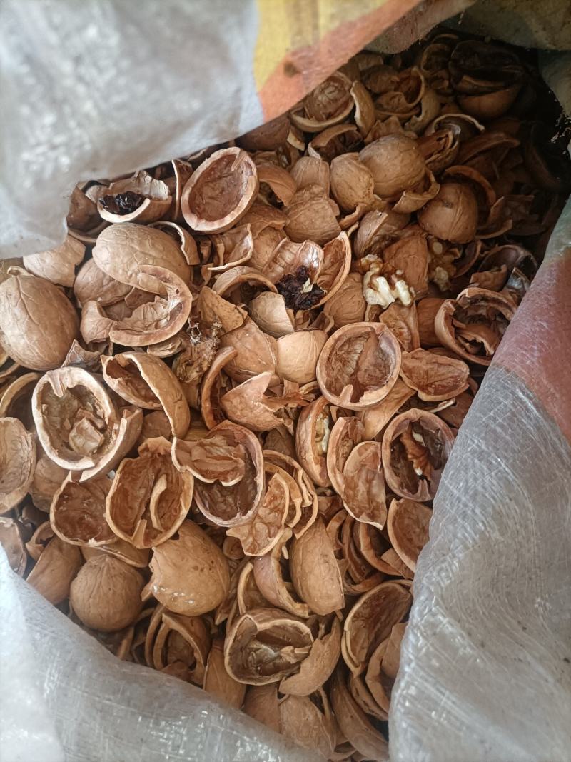 各类坚果壳