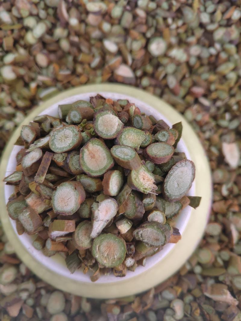 桑寄生，选货桑寄生片，新货纯绿！中药材桑寄生