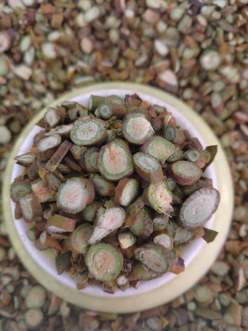 桑寄生，选货桑寄生片，新货纯绿！中药材桑寄生