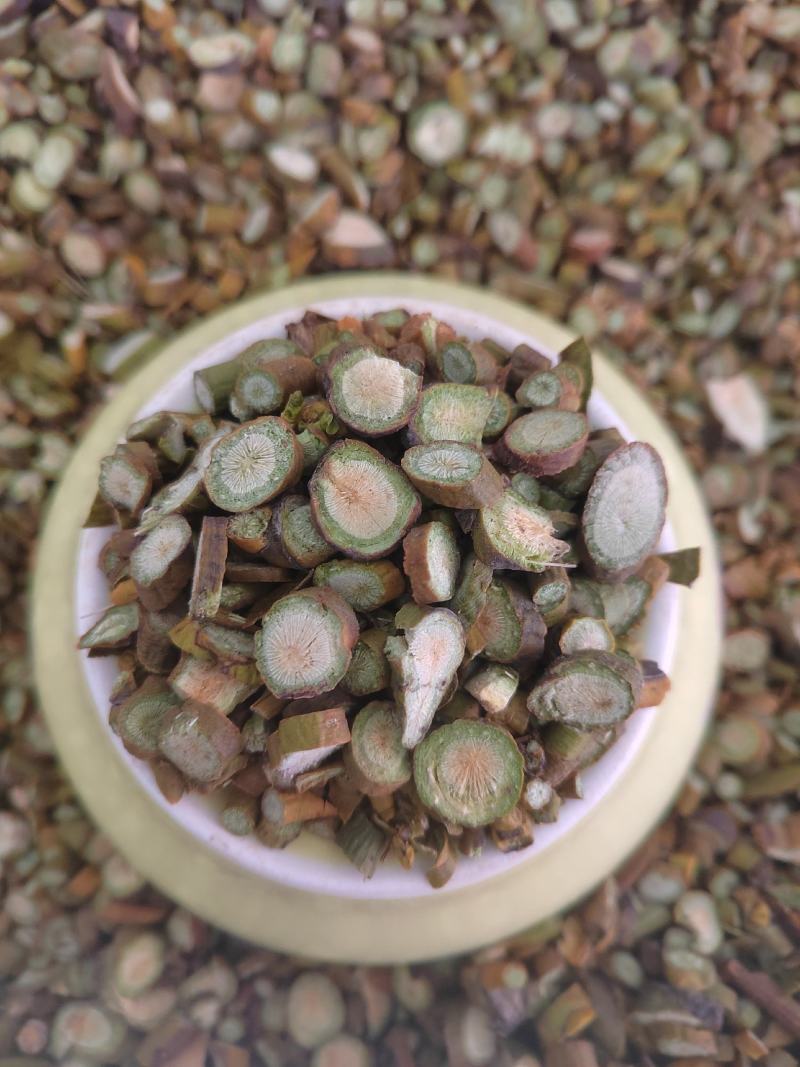 桑寄生，选货桑寄生片，新货纯绿！中药材桑寄生