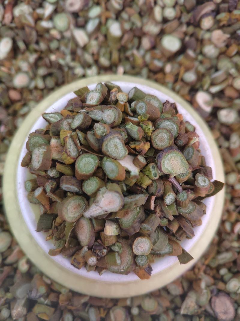 桑寄生，选货桑寄生片，新货纯绿！中药材桑寄生