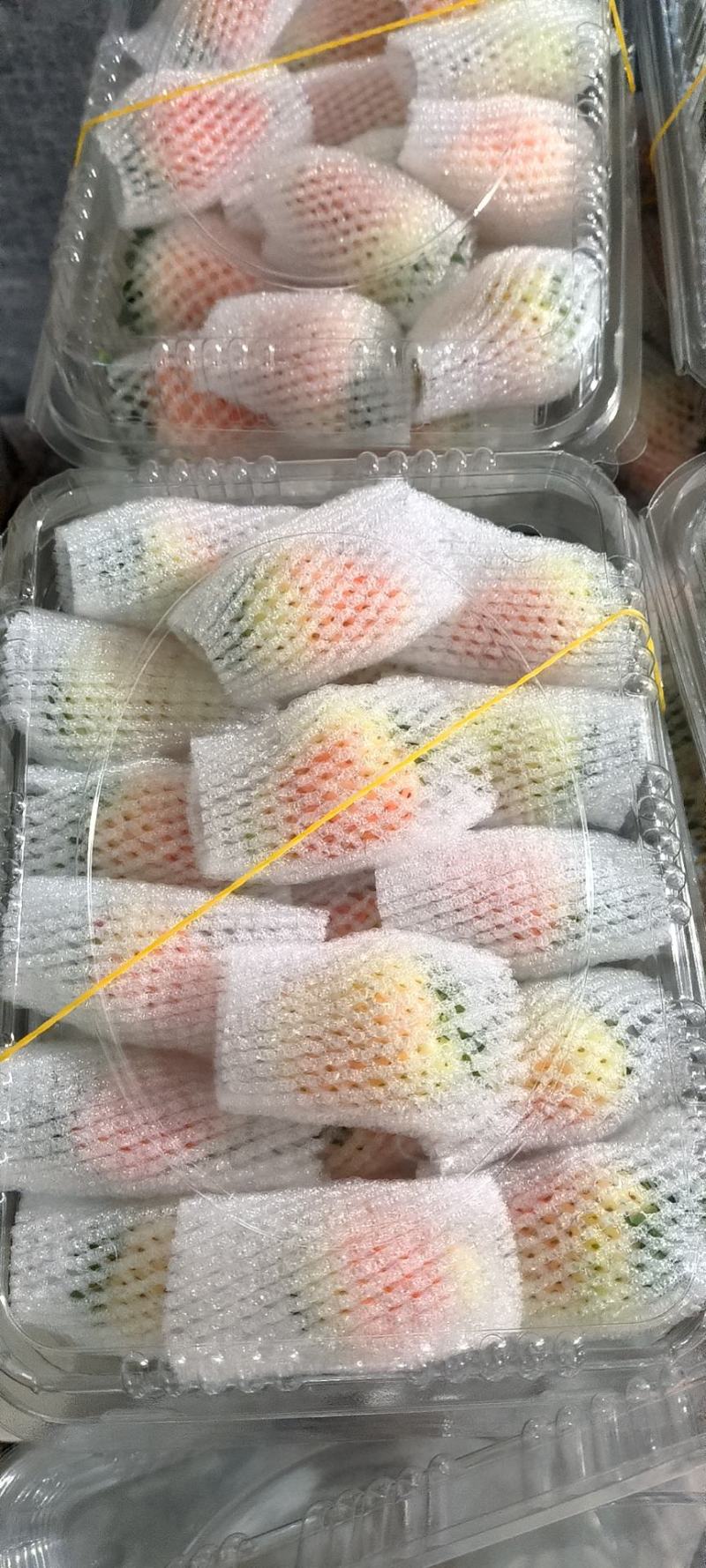 专业供货电商平台价格美丽