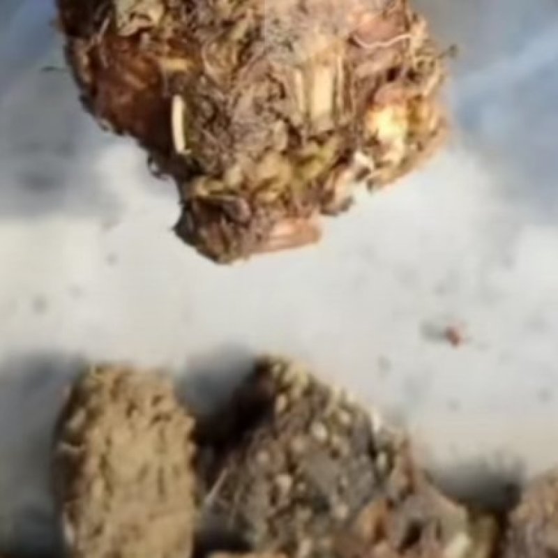 根，干货，自然晒干