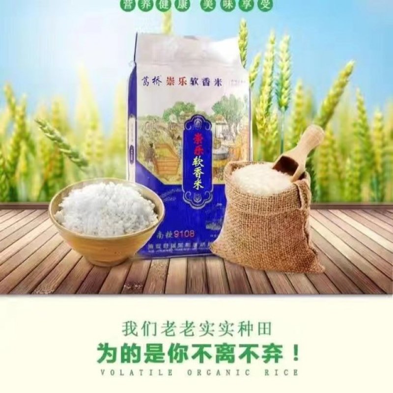 9108软香米
