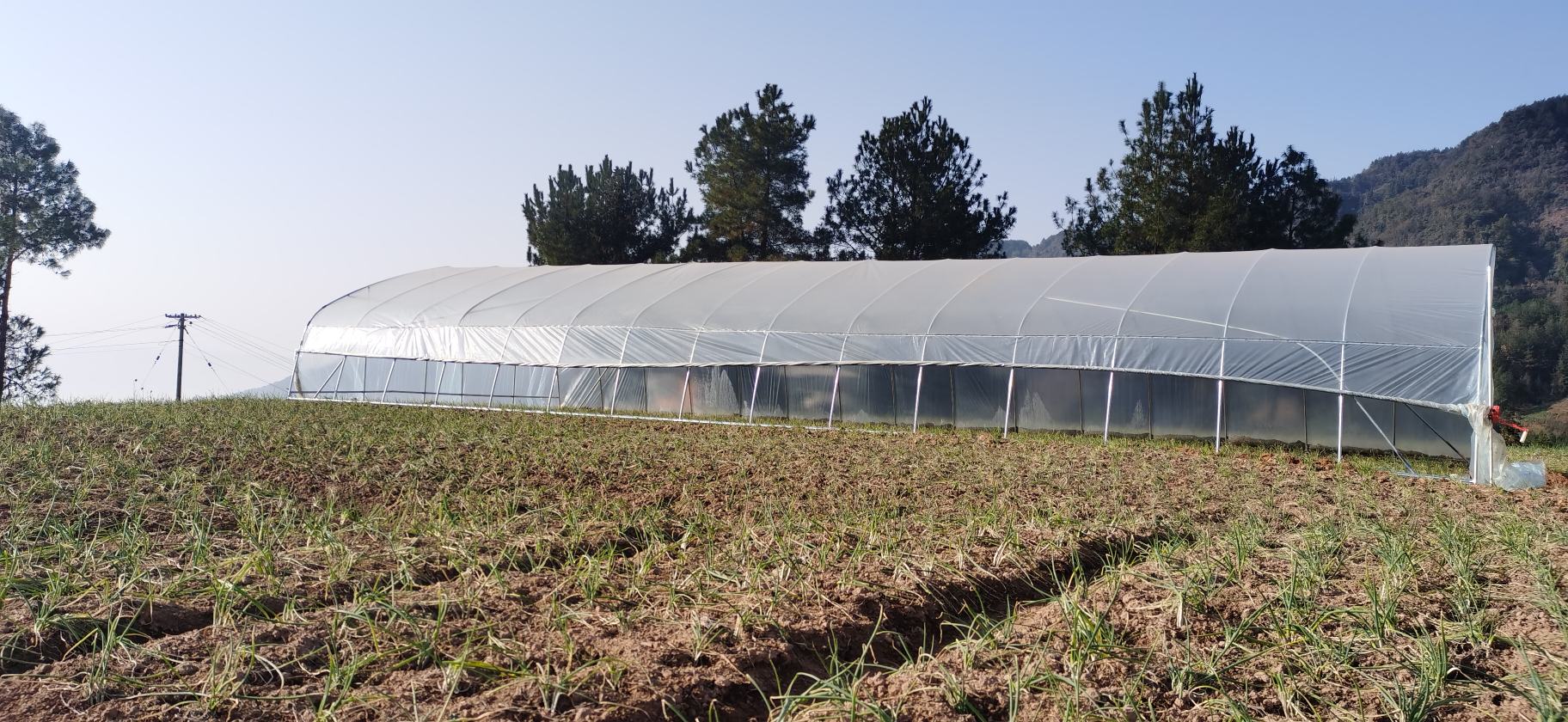 云南省玉溪市通海县洋葱种植基地航拍画面,可见整齐划一的条状种植田块,土壤呈红褐色,远处有山地环绕,农田间设有滴灌系统管道,部分地块农民正在采收洋葱,田边停靠农用运输车辆 云南高原洋葱种植区航拍图