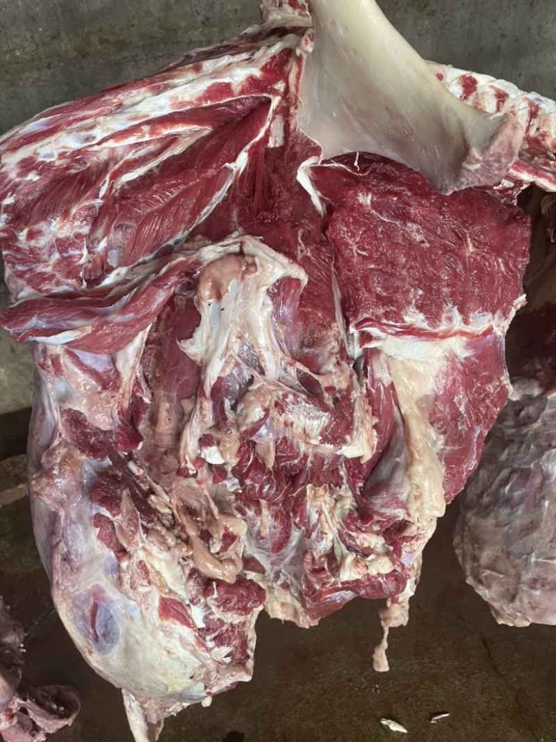 鲜驴肉，一手货源，可真空包装，可发全国，可发冷链，