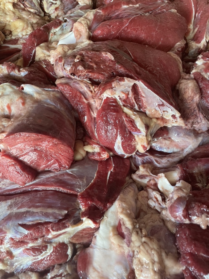 鲜驴肉，一手货源，可真空包装，可发全国，可发冷链，