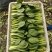 精品上海青，油菜，品质保证，诚信经营，服务周到，产地直发