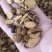 【白芍】炒白芍大片小片规格齐全量大优惠