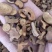 【白芍】炒白芍大片小片规格齐全量大优惠