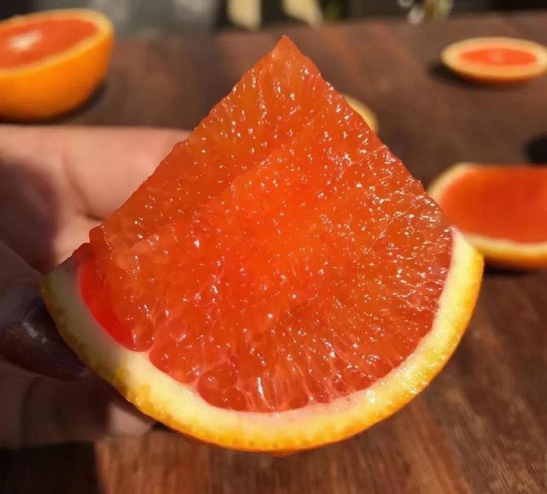 红肉橙与普通橙子果肉颜色对比展示 红肉橙与普通橙子对比图