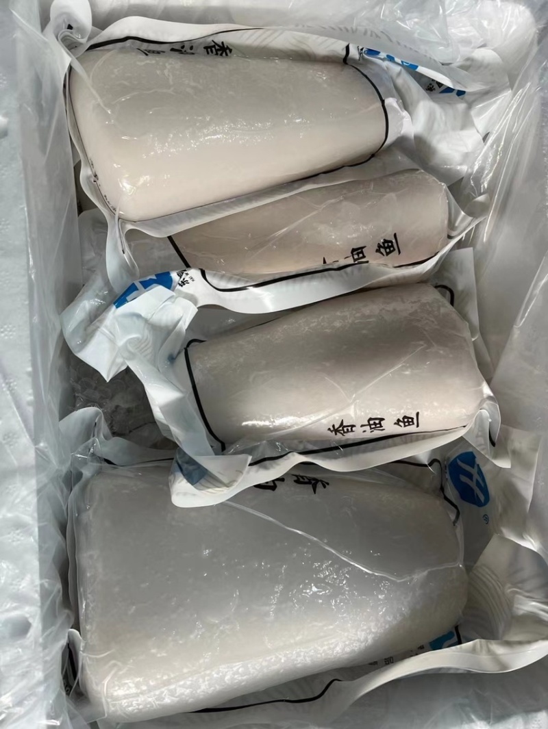 金枪鱼白金枪鱼块香油鱼刺身系列、精品产地直发