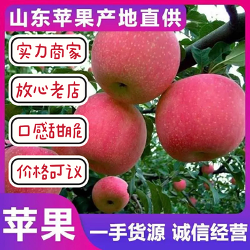 山东精品红富士苹果口感甜脆一手货源大量现货价格便宜