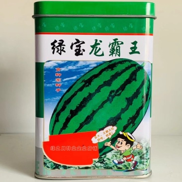 绿宝龙霸王花皮大果椭圆形西瓜种子甜又红瓜大正宗大红双红瓤