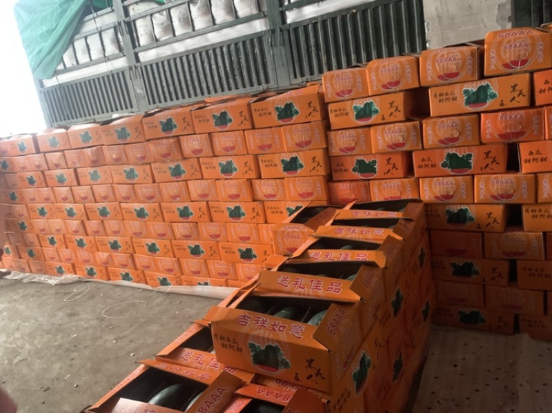 广西黑美人大量供应电商，市场，超市，合作共赢