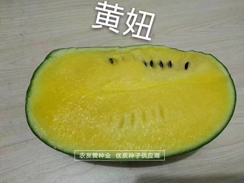 口感香甜糖度高绿皮黄瓤西瓜种子短椭圆型特早熟礼品瓜种子