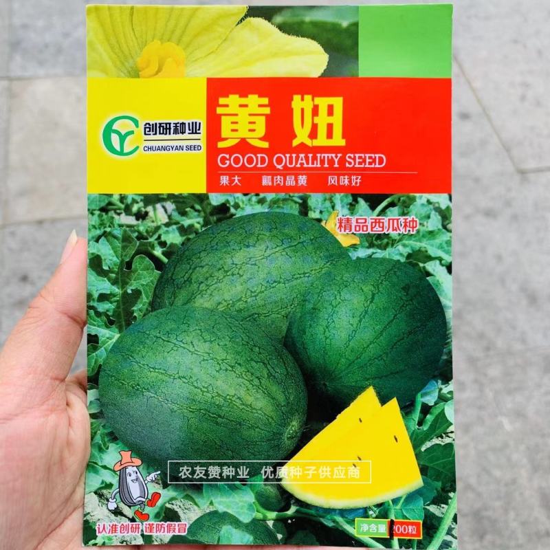 口感香甜糖度高绿皮黄瓤西瓜种子短椭圆型特早熟礼品瓜种子