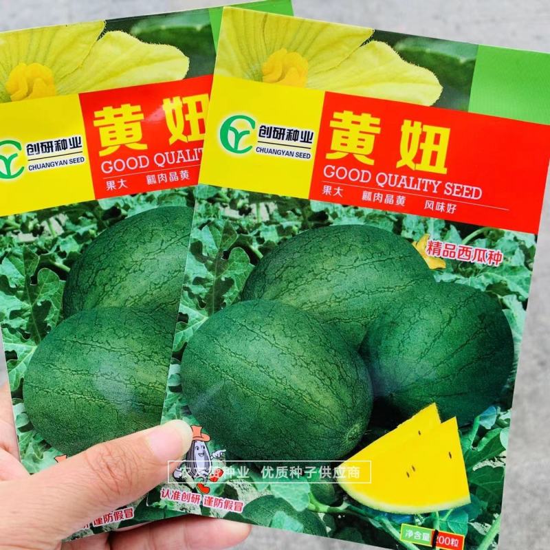 口感香甜糖度高绿皮黄瓤西瓜种子短椭圆型特早熟礼品瓜种子