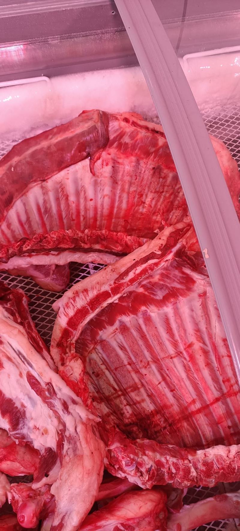 多肉羊蝎子