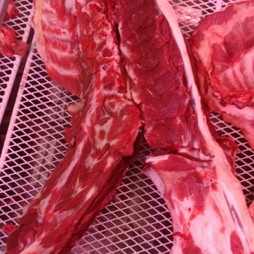 多肉羊蝎子