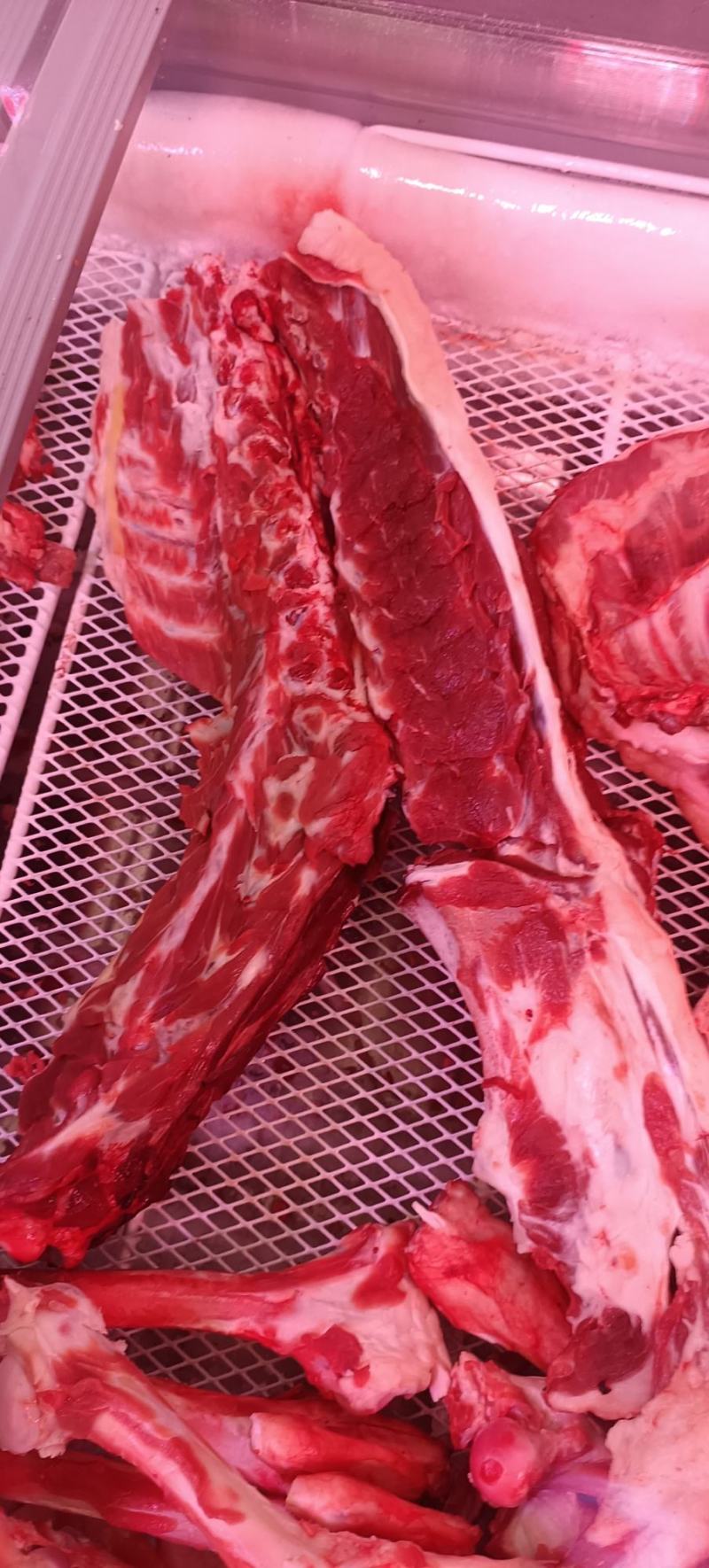 多肉羊蝎子