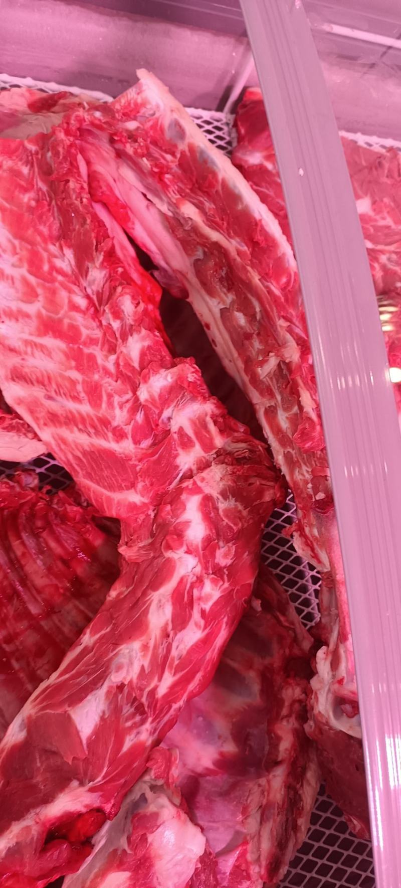多肉羊蝎子