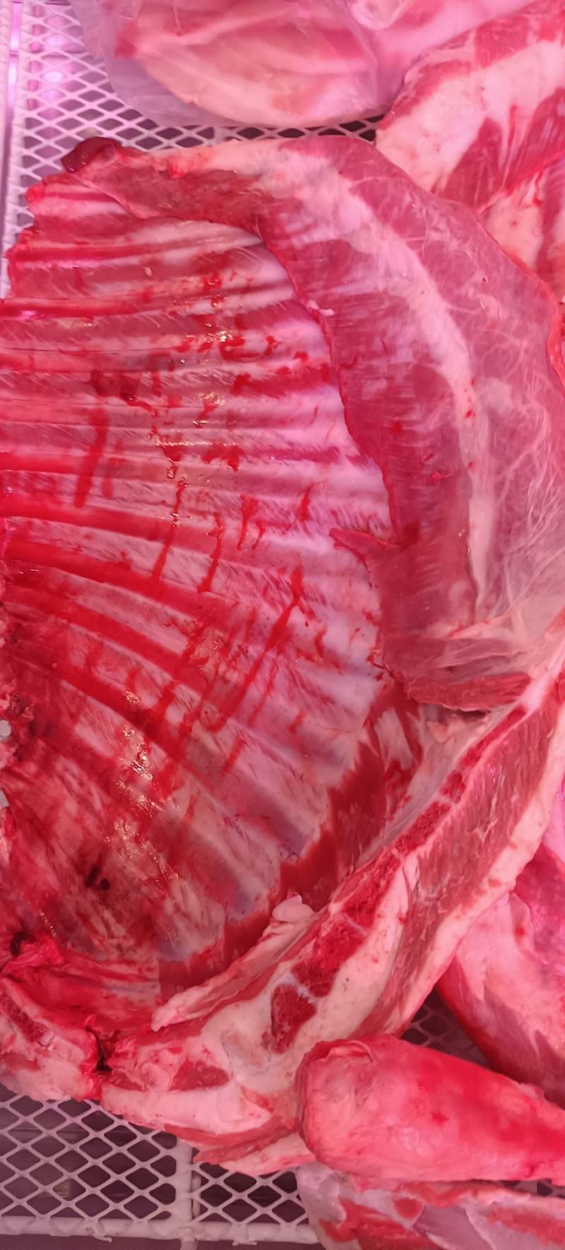 多肉羊蝎子