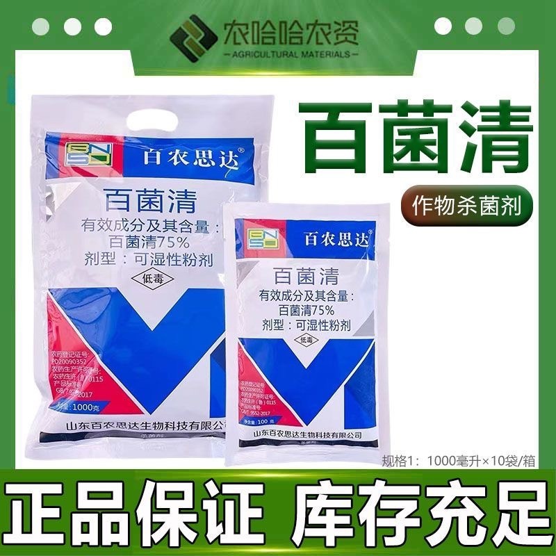 百农思达百菌清75%可湿性粉剂蓝粉黄瓜霜霉病预防杀菌剂