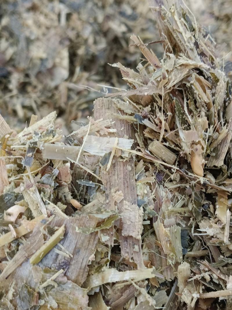 优质黄储，打包散装