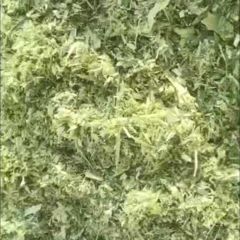 优质黄储，打包散装