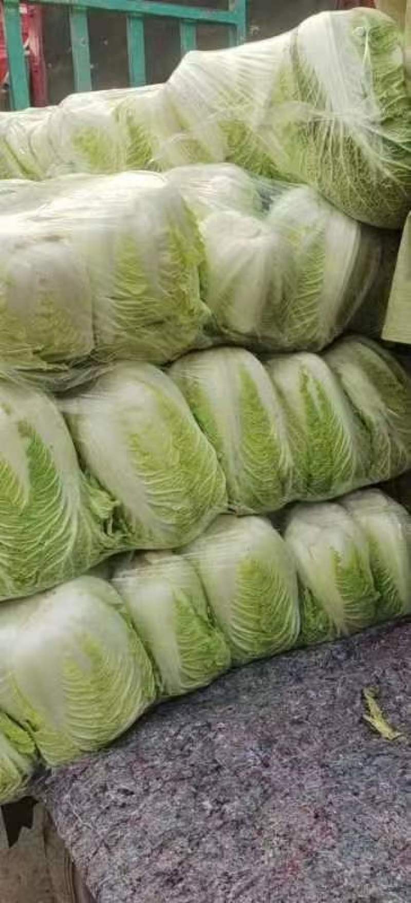 河北邯郸永年大白菜一手货源货源充足价格便宜欢迎咨询