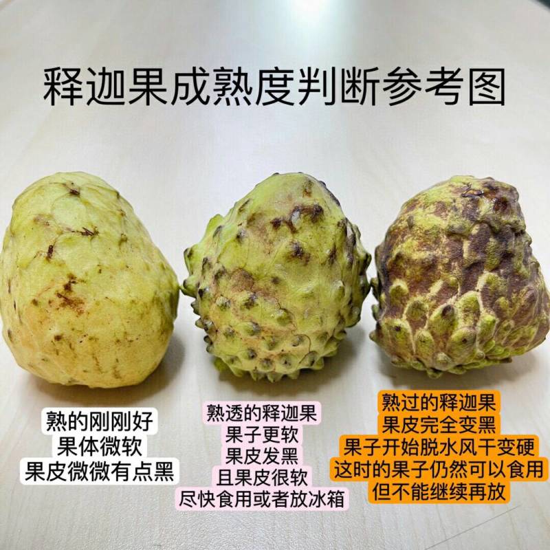 凤梨牛奶释迦甜如蜂蜜入口即化产地直供现摘现发