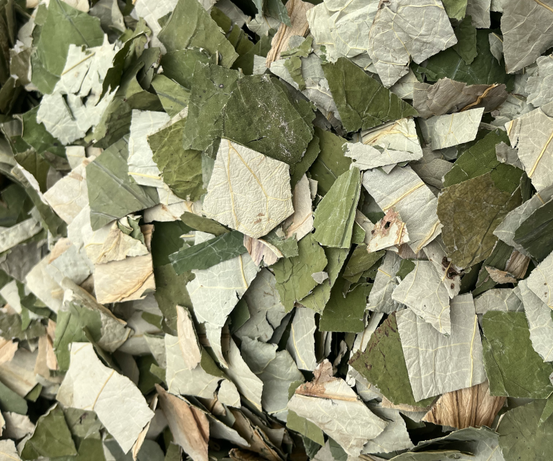 荷叶荷叶块可泡茶量大从优文斌药业批发零售