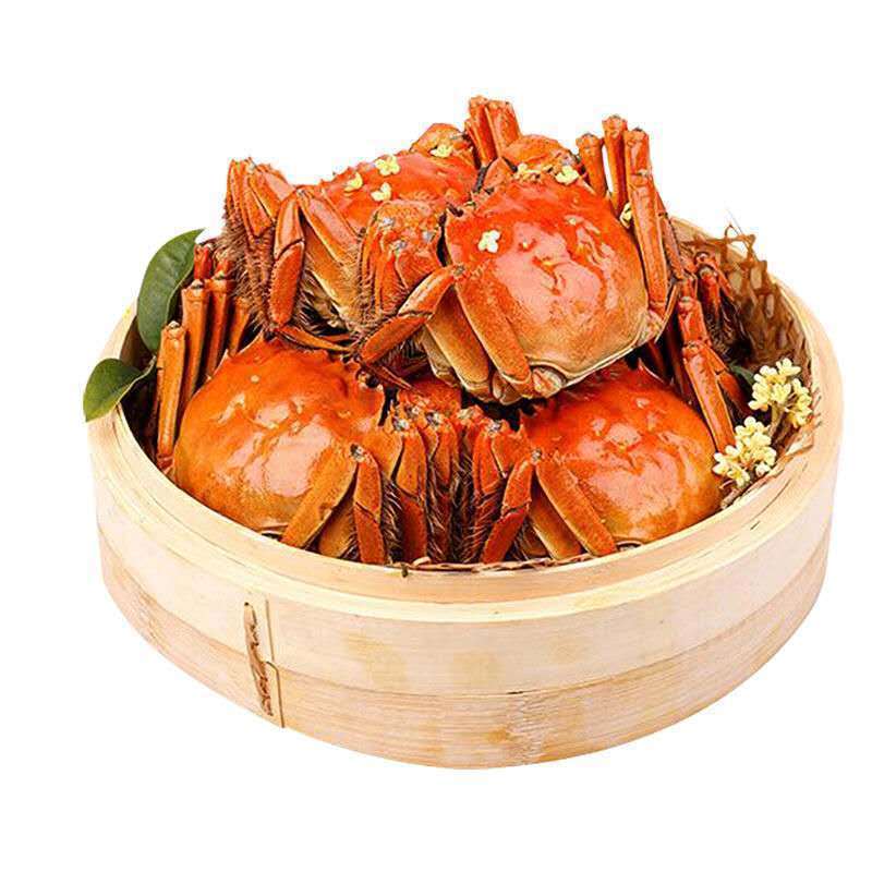 【肉质饱满】大闸蟹鲜活特大螃蟹现货六月黄全母公蟹